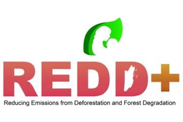 REDD+ Partnership