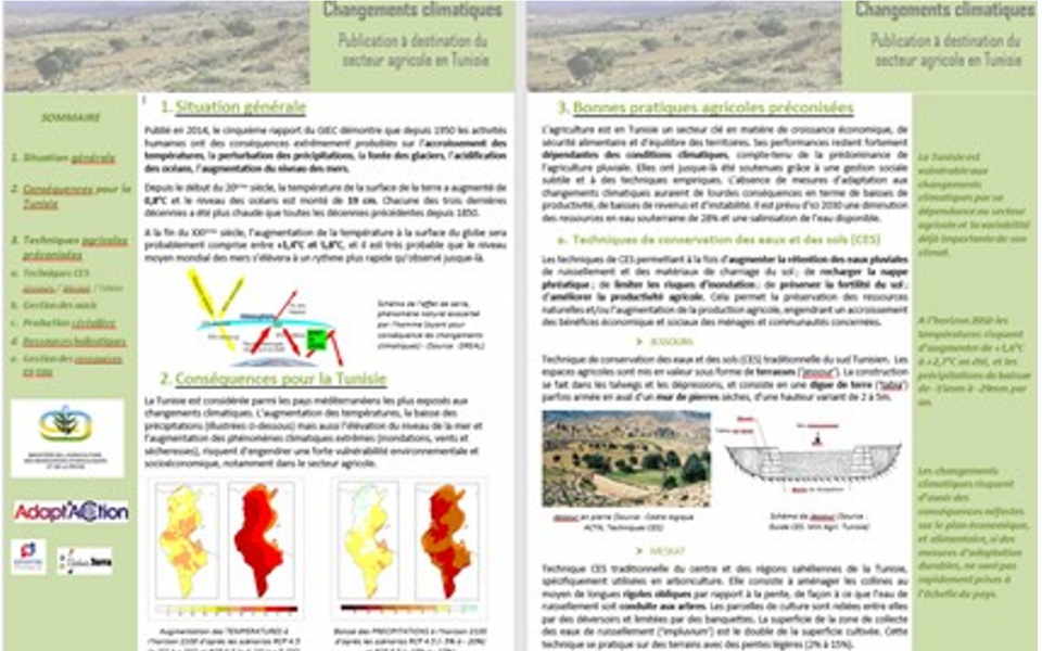 Renforcement du dispositif institutionnel de gouvernance lié au changement climatique de la Tunisie