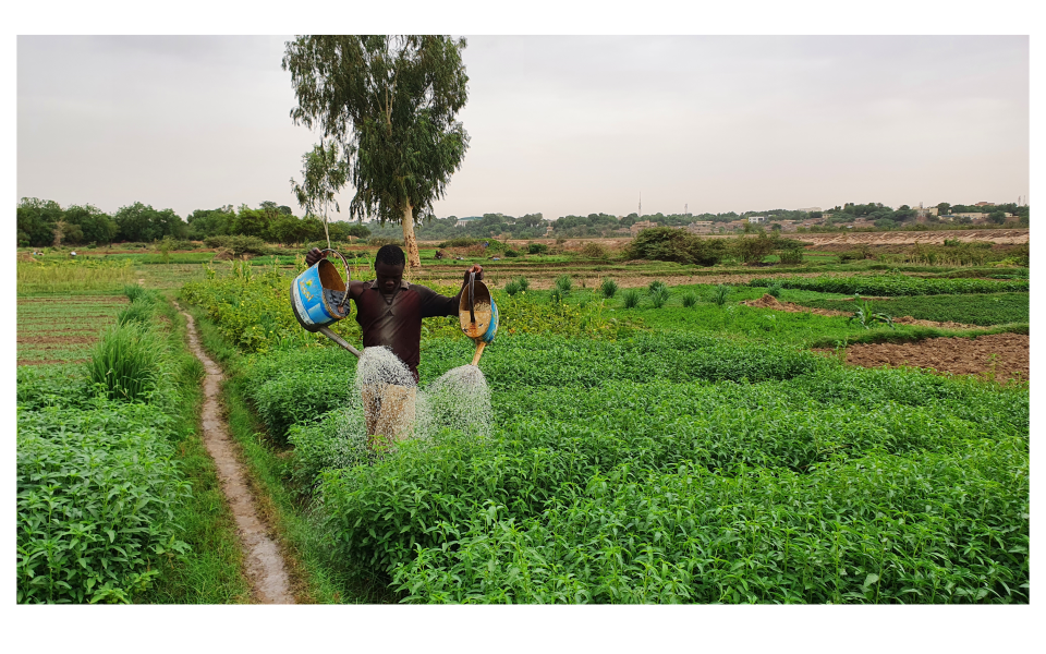 Etude de marché pour le financement de la petite irrigation privée au Niger