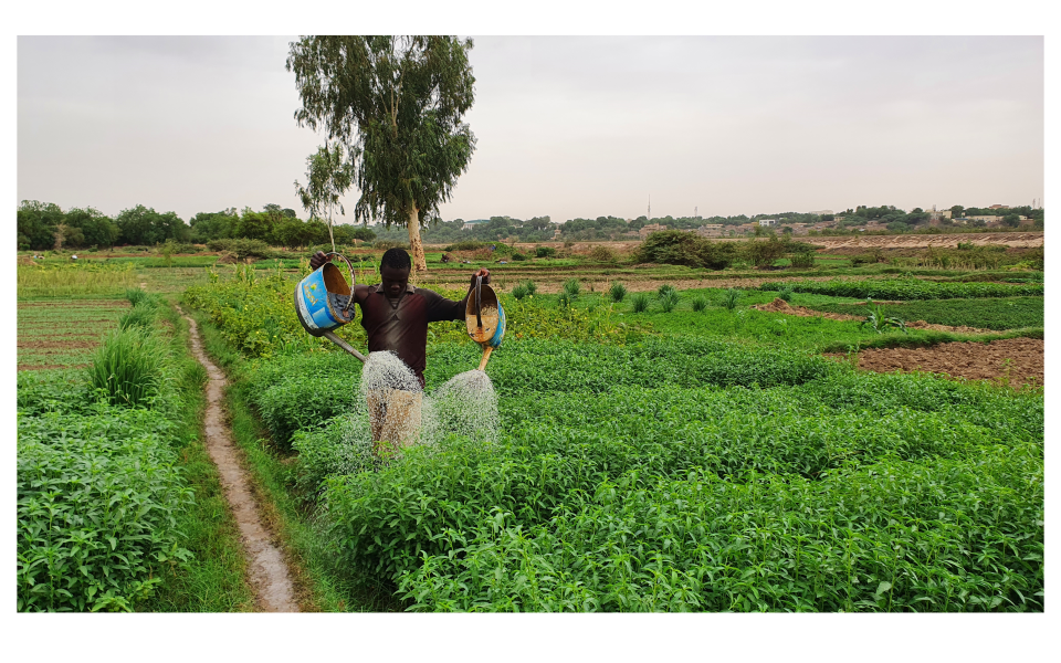 Market study for the financing of small-scale private irrigation in Niger