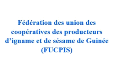 Fédération des unions de coopératives productrices d’igname et sésame de Guinée