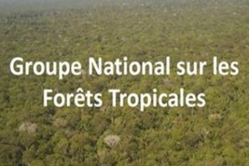 Groupe national sur les forêts tropicales