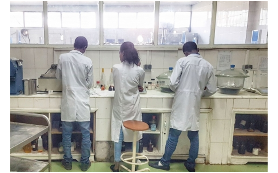 SalvaTerra s’engage auprès de l’ONUDI pour soutenir le secteur du miel en Éthiopie
