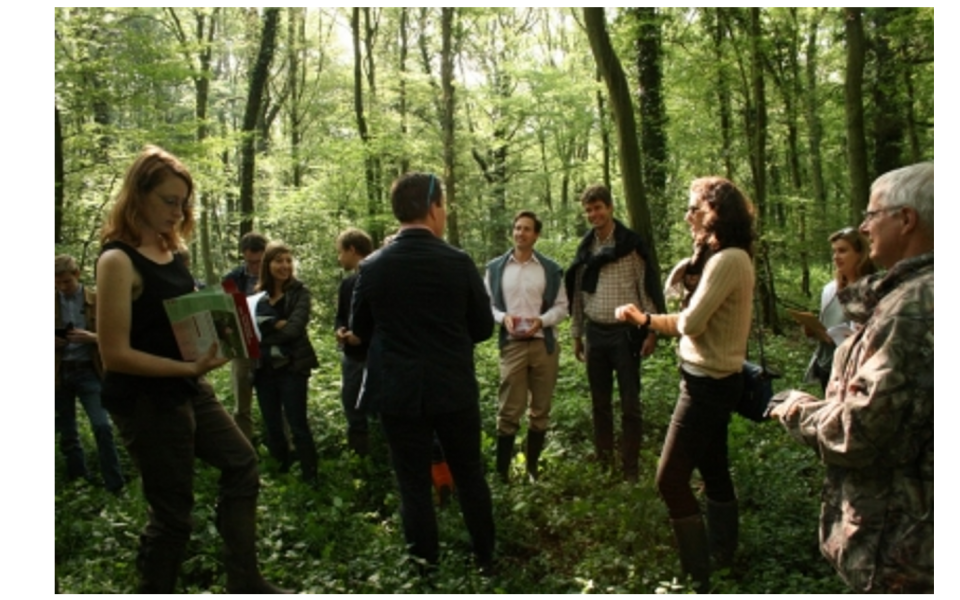SalvaTerra provides feedback on Forest Management Training (FOGEFOR) for France bois forêt (FBF).