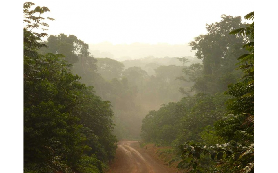 SalvaTerra évalue l’appui à la mise en œuvre de l’APV FLEGT au Congo