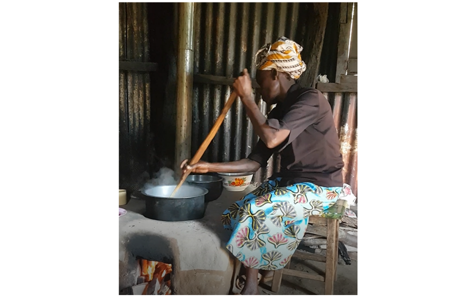 SalvaTerra conducted two feasibility studies on the diffusion of improved cookstoves in Uganda and Kenya