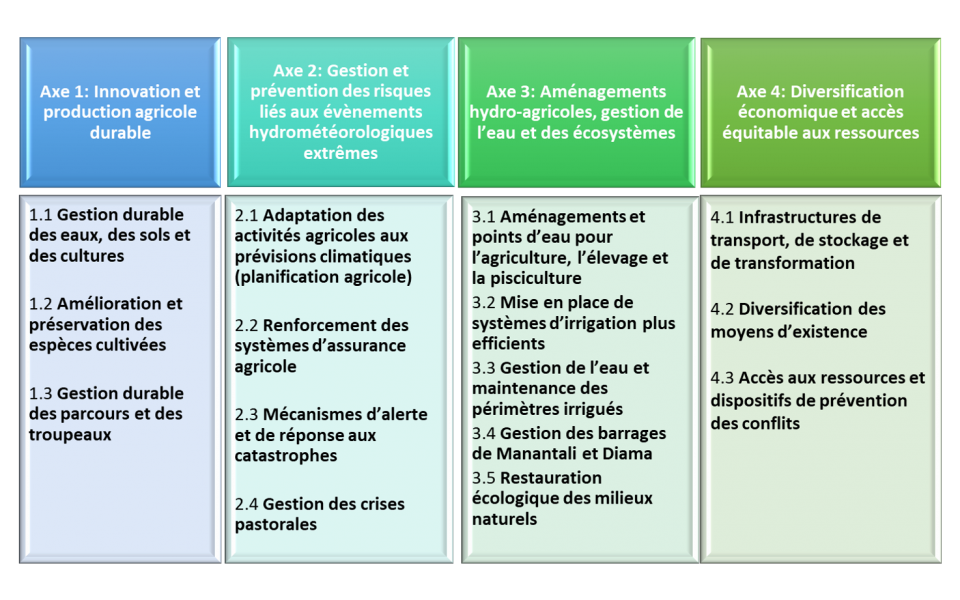 Adaptation aux effets du changement climatique : En 2020-2021, SalvaTerra a contribué à développer de manière participative une stratégie d’adaptation pour la Vallée du fleuve Sénégal.