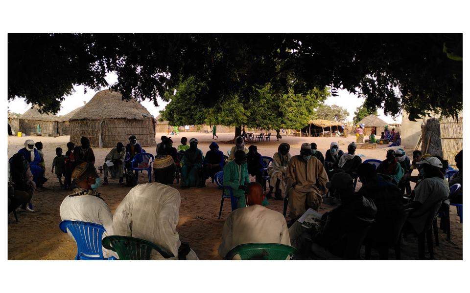 Project to combat desertification by supporting pastoralism in Ferlo