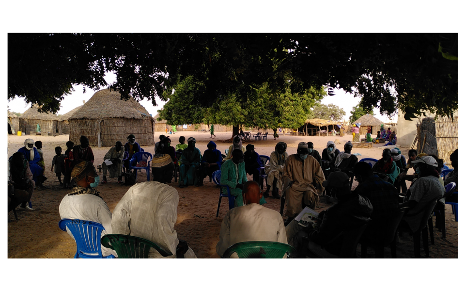 Projet de lutte contre la désertification par l’appui au pastoralisme dans le Ferlo