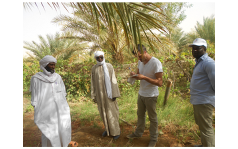 Etude des filières dattes et natron dans le Sahara tchadien
