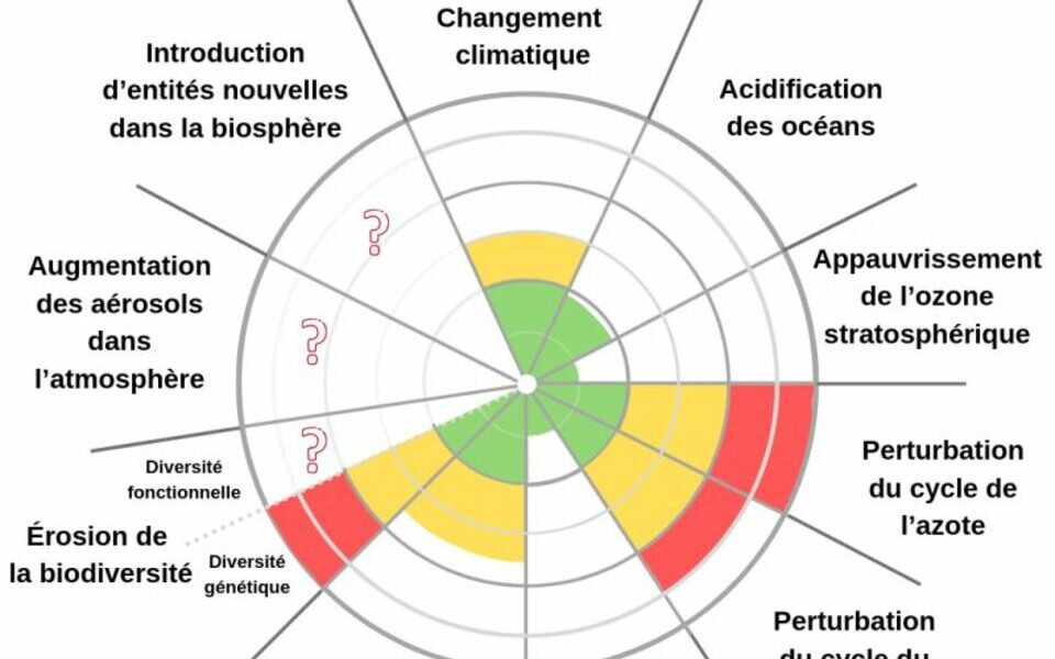 La Journée Mondiale de l’Environnement fête ses 50 ans !