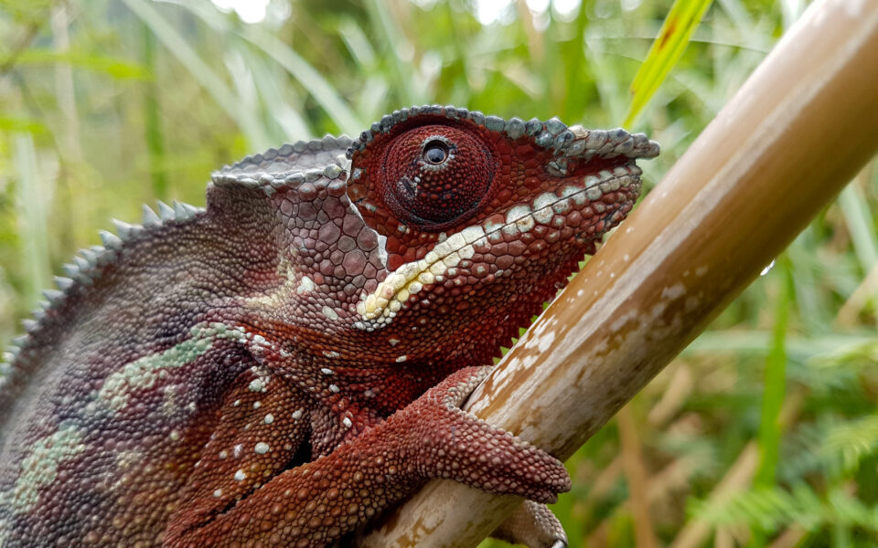 Like every 22nd of May, it’s World Biodiversity Day!