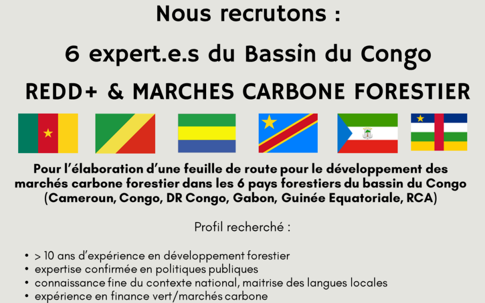 Recherche d’experts nationaux dans 6 pays du Bassin du Congo (Cameroun, Gabon, Congo, RDC, RCA et Guinée Équatoriale)
