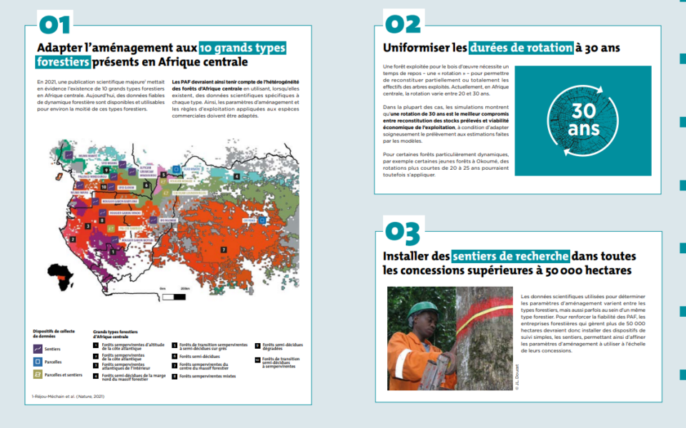 Les documents de capitalisation du collectif DYNAFAC sont publiés