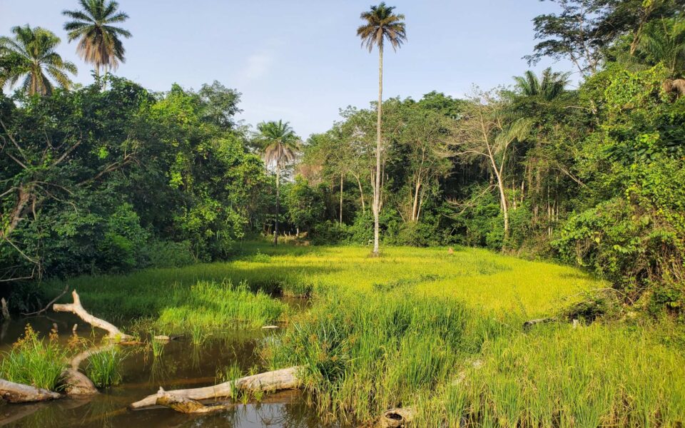 En images : Étude de vulnérabilité du secteur piscicole en Guinée