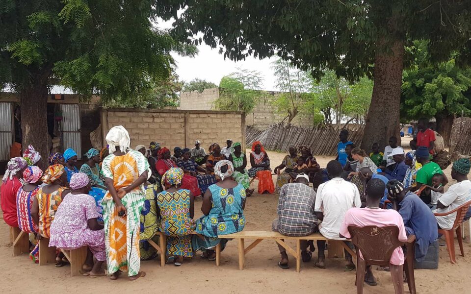 🌾 Comment renforcer durablement la résilience des petits exploitants agricoles face aux chocs climatiques au Sénégal ?