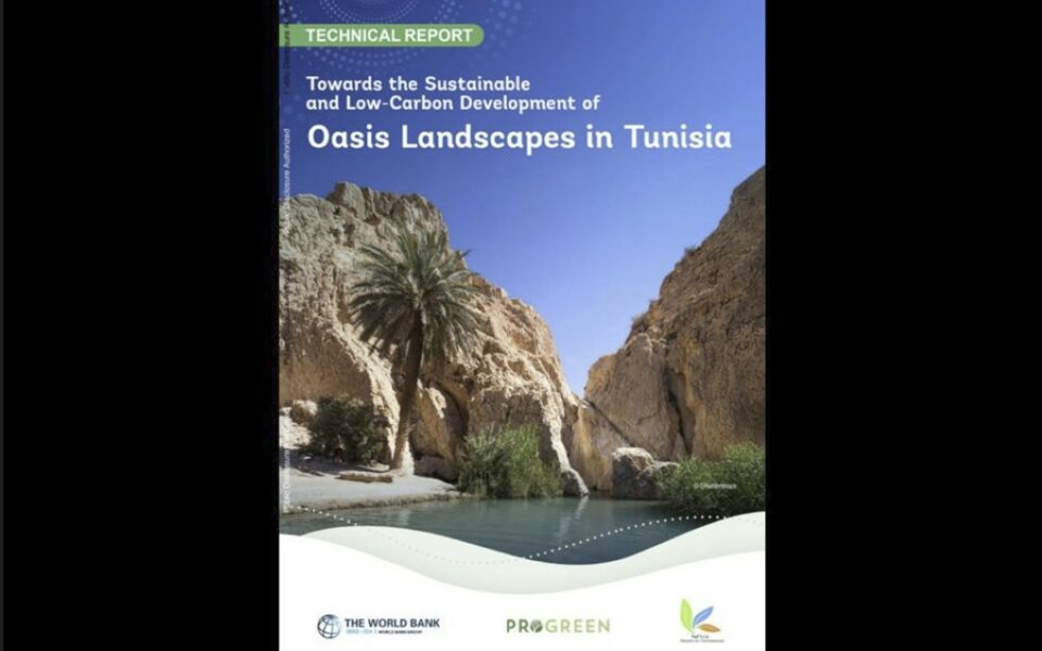 🌴 Les oasis du Sud tunisien : un patrimoine en péril, un potentiel à activer