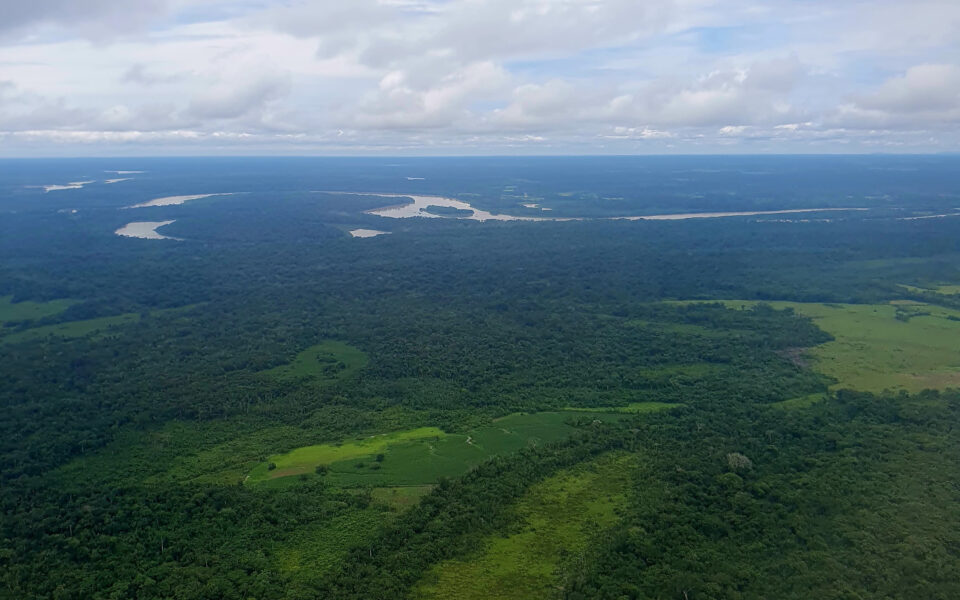 Freiner la déforestation sur les fronts pionniers amazoniens