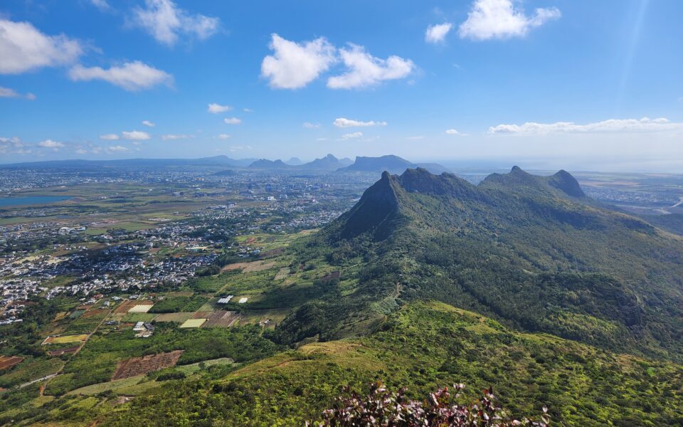La biomasse, levier d’économies circulaires dans l’océan Indien