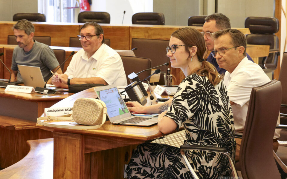 La filière Forêt-Bois de La Réunion : Une étude des acteurs et des flux pour outiller l’interprofession