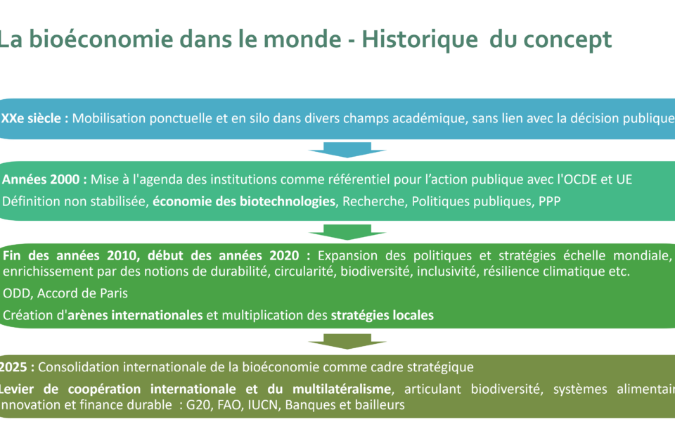 La bioéconomie à l’agenda de la coopération internationale